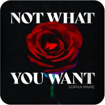 Not-What-You-Want-downloaded-from-SpotiSongDownloader.com_.webp